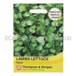 Thompson & Morgan Lambs Lettuce Favor